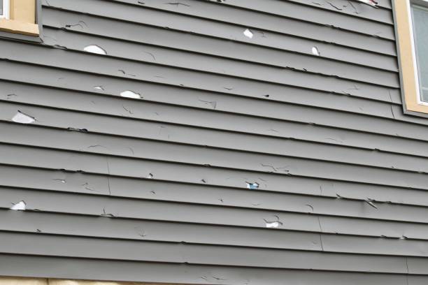 Shed Removal in Sherman, TX